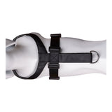 V6H7C2BF56A987C535CCA7AD980459030A4R2354217P8