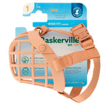 V2H94CFE43DA645039AADC1B404C4BD9BC9R5554120P4