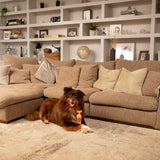 V9H8A5B14B9D471D637D273EAEC2AEECF74R5504919P6