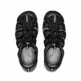 V3H951C075D010D3E7EC6587D10D1624241R5310497P4