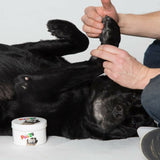 V2HB447AC88FCB9DBB4A8CBF6BA4F4E2B90R5595054P8