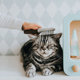 V8HDD4FC21B62BFC95D6AF79CEF1730E906R4267965P3