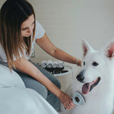 V7H13D9FE61D65C6E9E0965E9E3AA79CD7DR3618719P6