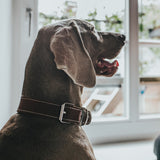 V7H594669FF8F66C70A996DD8329234D428R1561426P3