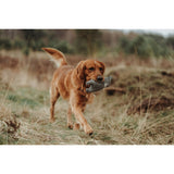 V4HA5B688F5E414656FD20EED91F7A50B75R5333687P2