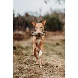 V4H404F0C2F4982CCC95E8A1256C6C10A48R5333700P4