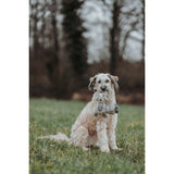 V4HAB9070C8303396E5282F4F6B7B4C713DR5333702P5