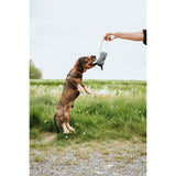 V2H9BAC4D4C325FE90705F69B0ECCCF699AR5574760P3