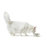 V4H3794D91AFE24602BE5719C06A1527F7ER4438158P4