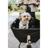 V2HF2F8B2B910F4402FD0F9A4730930C571R5575621P7