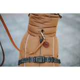 V2HA835500A7E49F6B6B2FDE1DF424A4DBCR5575899P7