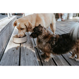 V2H9C491FC5EBBC1C80ECFD09EF5B736195R5574413P3