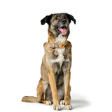 V2H904969CF08A84F8B79FF0818841F1205R5575443P3