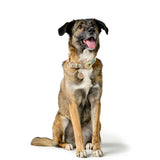 V2HD10BD1F7656D60FED8EC1C184D010750R5575489P5