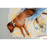 V2H6D2AF4A7382B8D0A363360E6AB3E4614R5575510P5