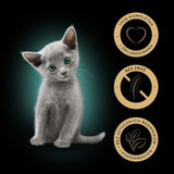 V3HBFDB6F56A85E896DFBF831928DDFA13FR4903945P2