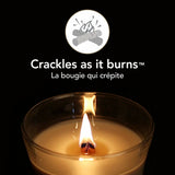 V2HE8F73CE2E270340B70E78C61CF5797E6R5579843P2