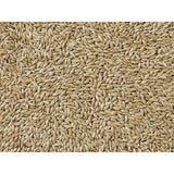 V2HB07A25C0235449E0B64311C8F7D5B6A0R5529788P3