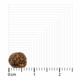 V3H7AE5B79228AD45DBC0BA86E6D475B95FR5306659P5