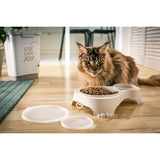 V4H7B6FA52F8900260ED34C773E11C4DD0BR4928352P3