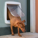 V3HB5EB01BA196D59B43B949D41A2B666EFR4433867P5