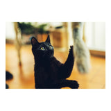 V9HCDDD1250EE92C2C4208AC39FF0274C36R4263199P2