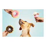 V9H5BAEDCC540866456FA66FB60CEA6FCB6R5572663P2