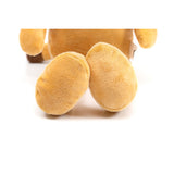 V2HBF50C1CF599A9C87C26392DB21CC2449R5575056P5