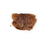 V2HB445096FB35CE476B7478AA93ECB09D0R5292966P3