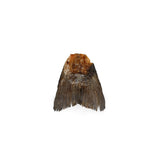 V2H5D306F2F1735A5E6F766A6FB14D6FFFBR5292990P3