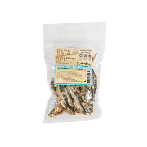 V2H1125E13CD3684364B3E7424EC98C7AAFR5292951P1