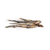 V2H7779796764E894A9FDC9C2F3F1E4989BR5293011P3