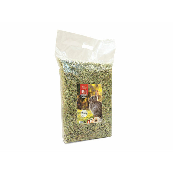 V2H26CD1303C6D2187A2996CE2D2B182545R5586825P1