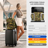 V2HD35FC800487C4B404A305D1C4D8E30F4R5528947P10