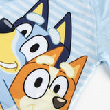 V2HD063BDB5CE18C9B529254801878D6FEDR5583645P2