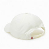 Sports Cap Dickies Hardwick Cloud (One size)